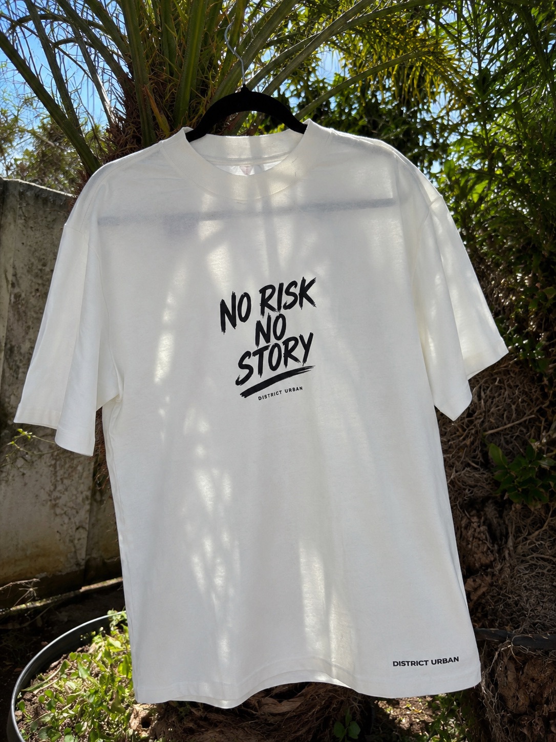 no risk.PNG